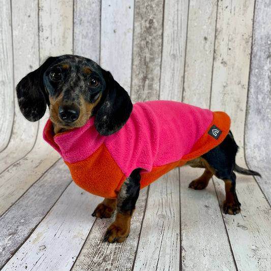 Two-Tone Dachshund Fleece Jumper: Mustard / Teal / Small