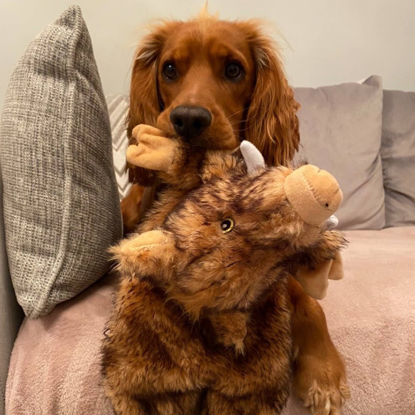 The Heritage Collection Huge Hog Unstuffed Toy