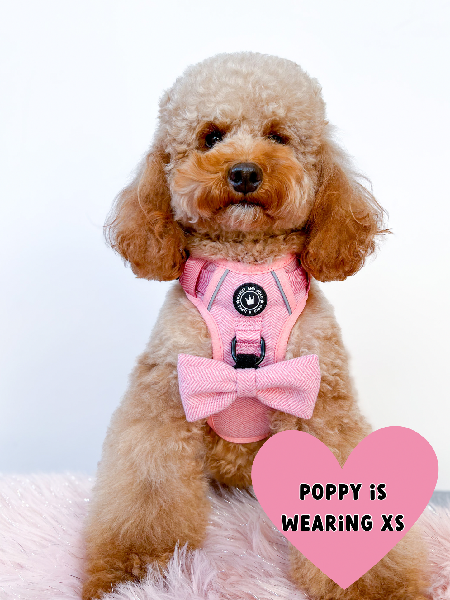 TRAIL & GLOW® DOG HARNESS - BUBBLEGUM PINK TWEED: Extra Large