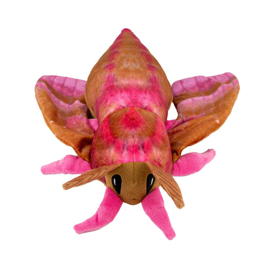 Playtime Cuddle Toy for Dogs - Fluffy Moths