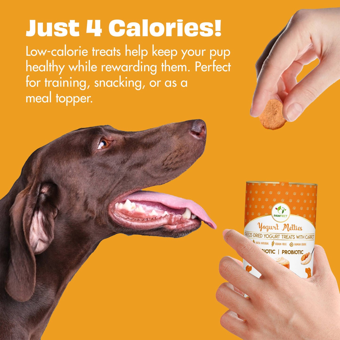 Pawfect Yogurt Melties Prebiotic and Probiotic Dog Treats: Pumpkin & Yogurt (38g/1.34oz)