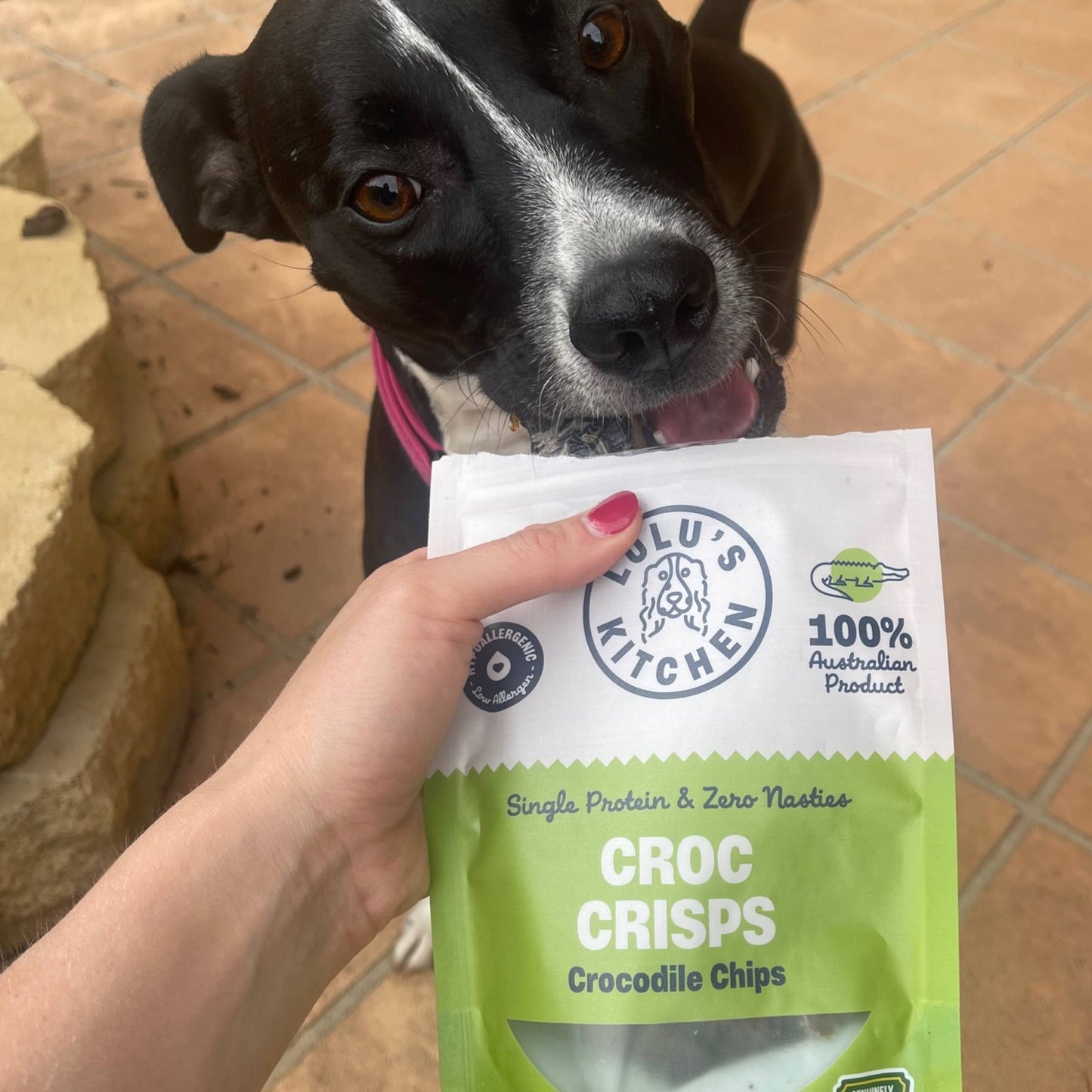 Croc Crisps - Crocodile Chips - New.