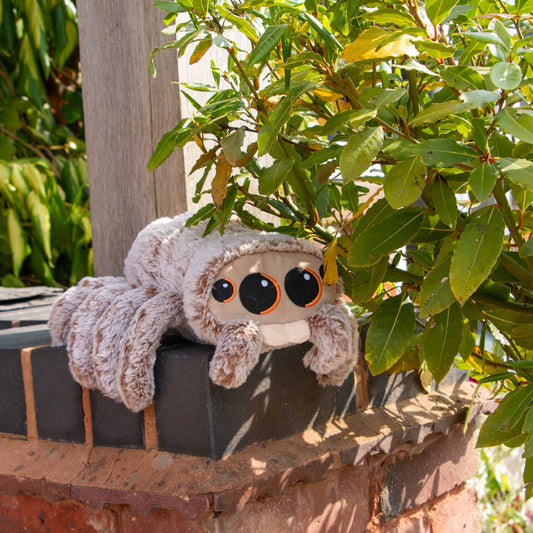 Play Time For Dogs - Soft Sid The Spider