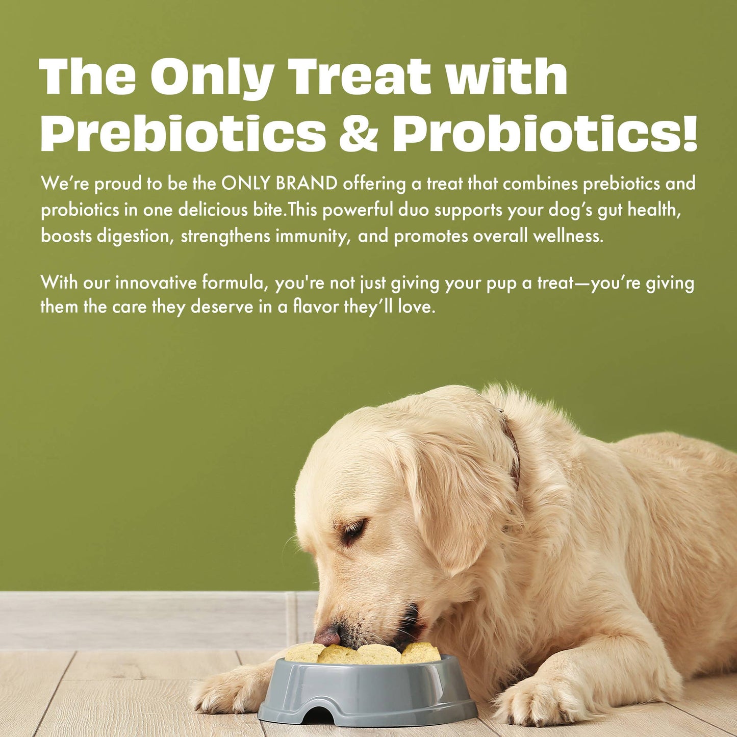 Pawfect Yogurt Melties Prebiotic and Probiotic Dog Treats: Pineapple & Yogurt (38g/1.34oz)