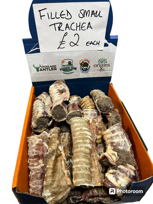 Filled Small Trachea.