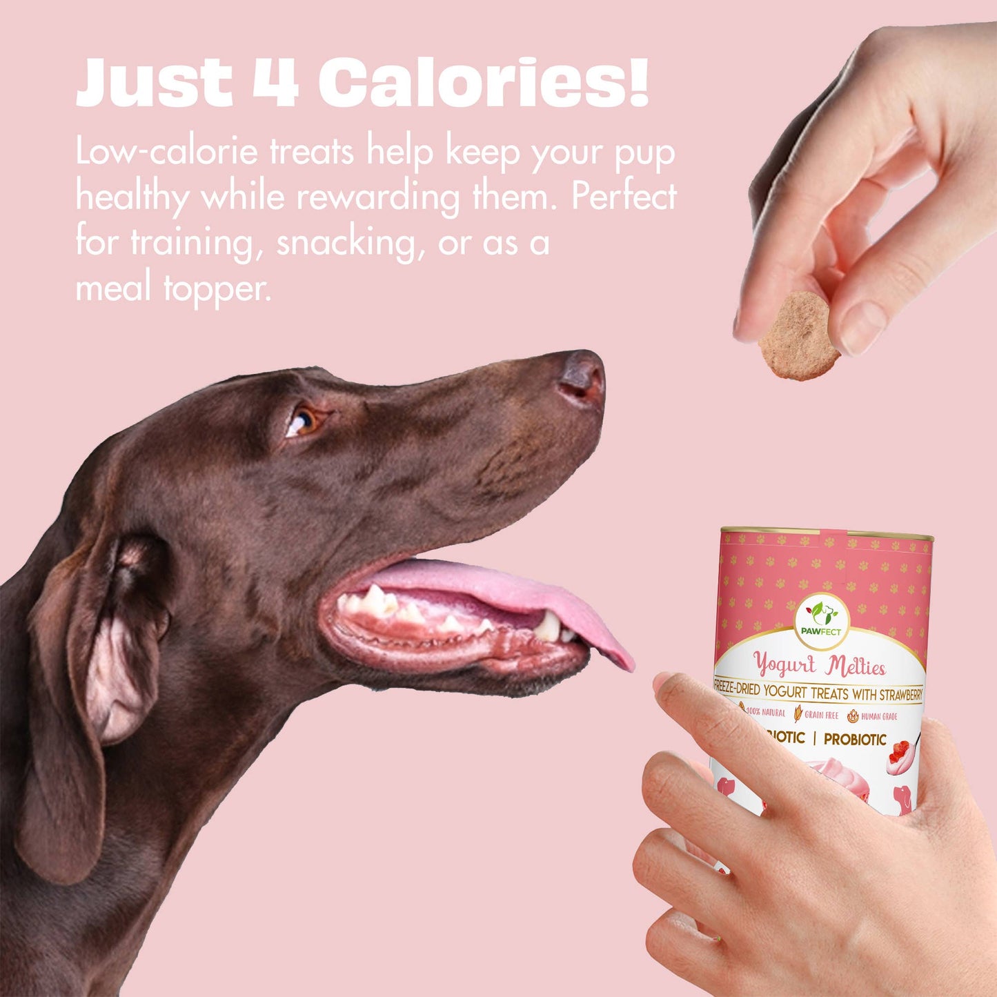 Pawfect Yogurt Melties Prebiotic and Probiotic Dog Treats: Strawberry & Yogurt (38g/1.34oz)