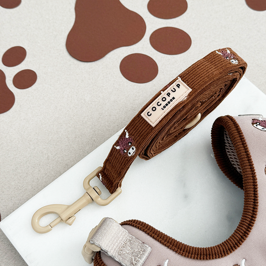 Harold the Highland Cow Lead.