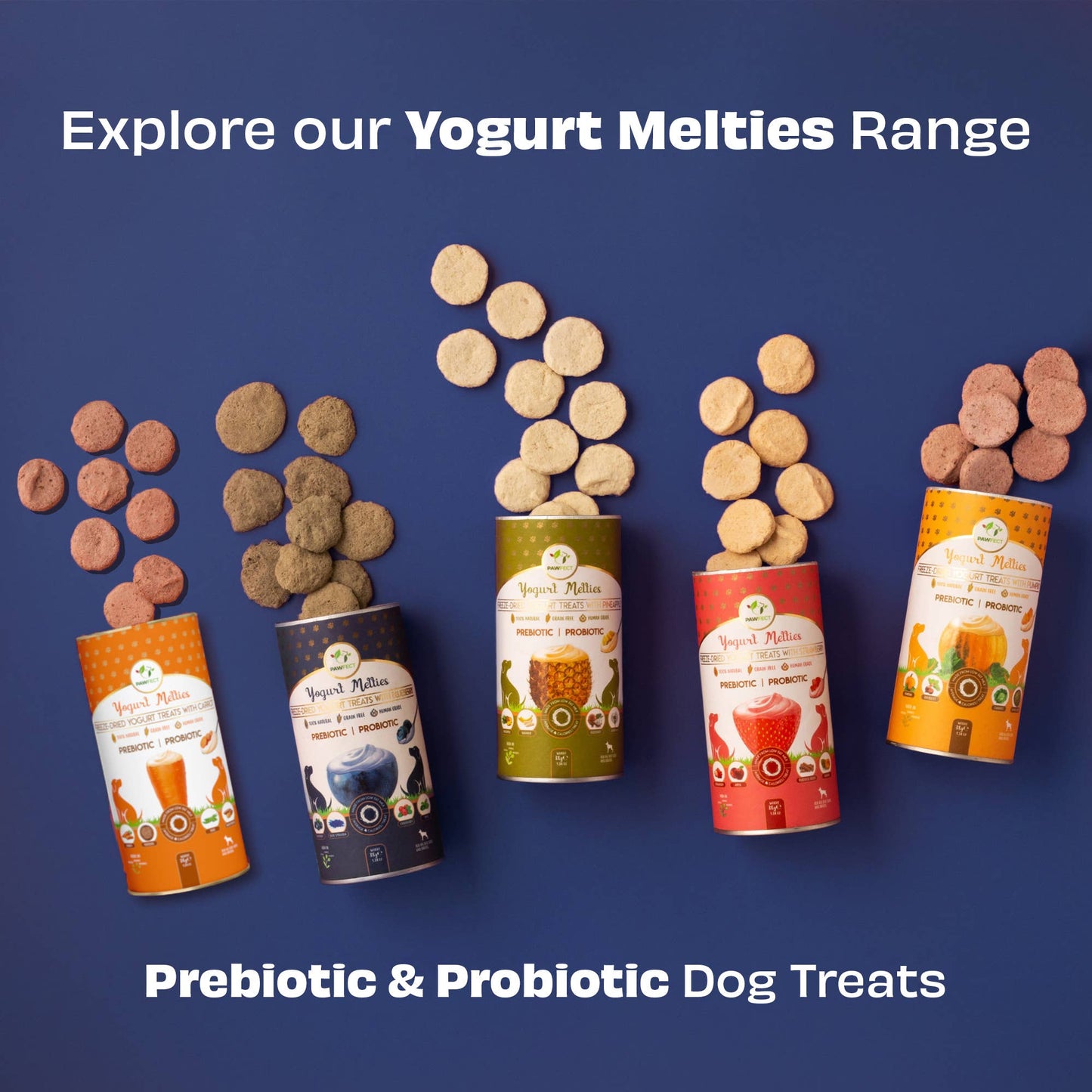 Pawfect Yogurt Melties Prebiotic and Probiotic Dog Treats: Blueberry & Yogurt (38g/1.34oz)