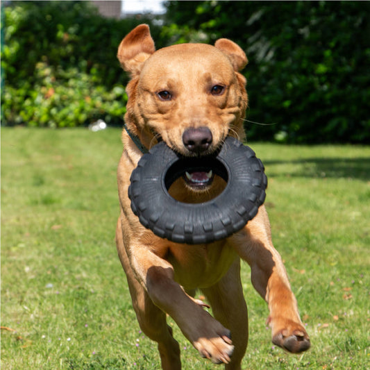 Extreme Tyre Tough Dog Toy