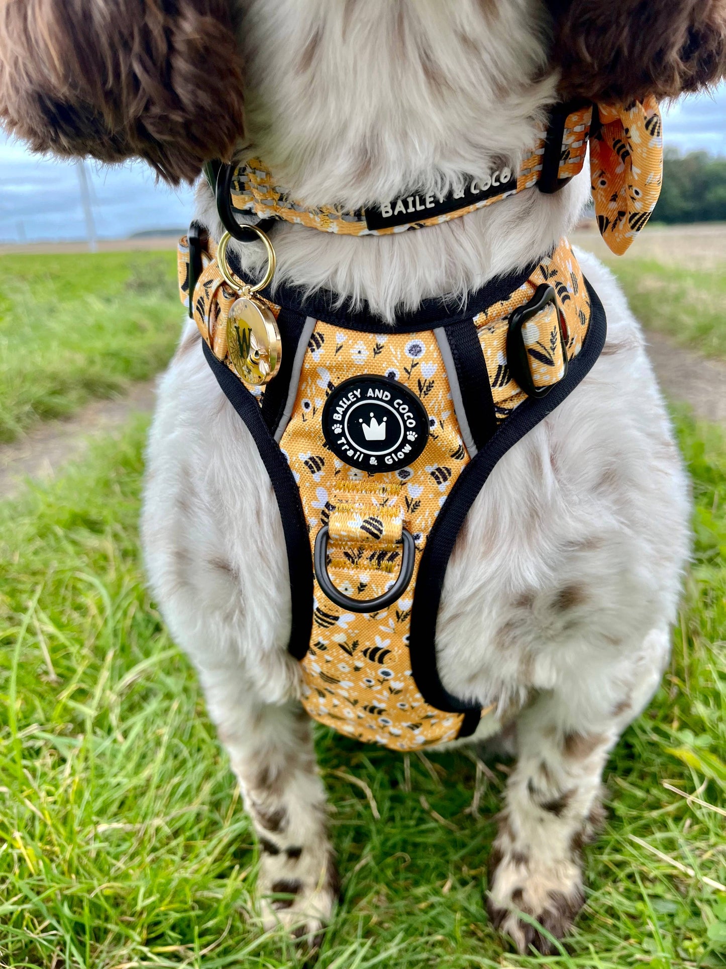 Trail & Glow® Dog Harness - Wanna-Bee: S