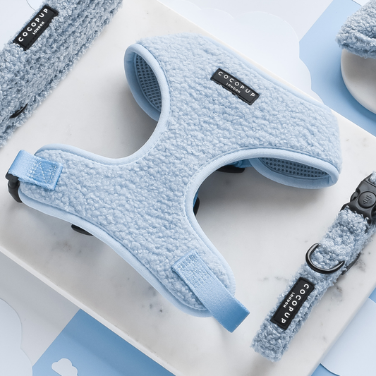 Teddy Daydream Adjustable Neck Harness: S