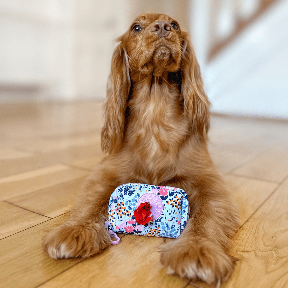 Poo Bag Holder - Colour Drops - Spring Dreams