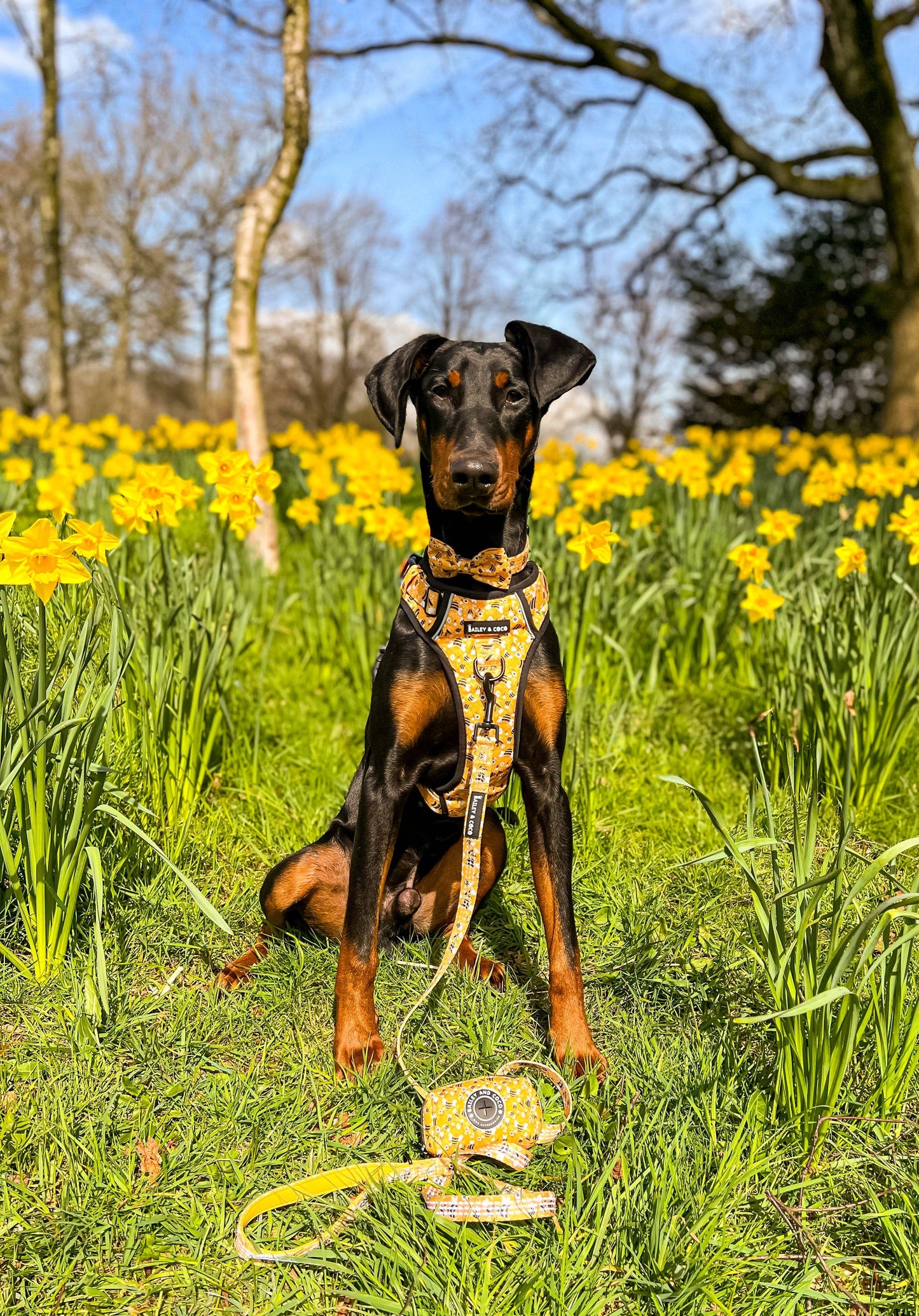 Poo Bag Holder - Wanna-Bee