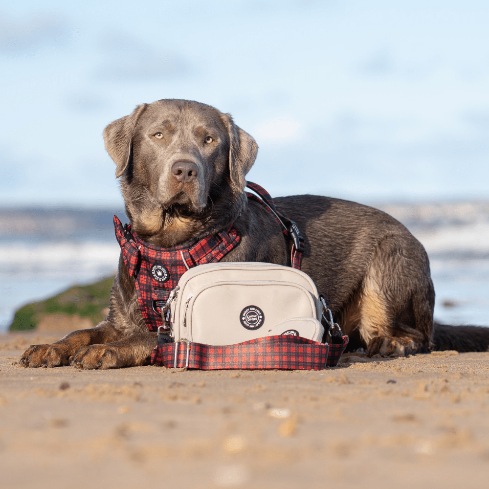 Trail & Glow® Dog Harness - The Red Tartan One: XL