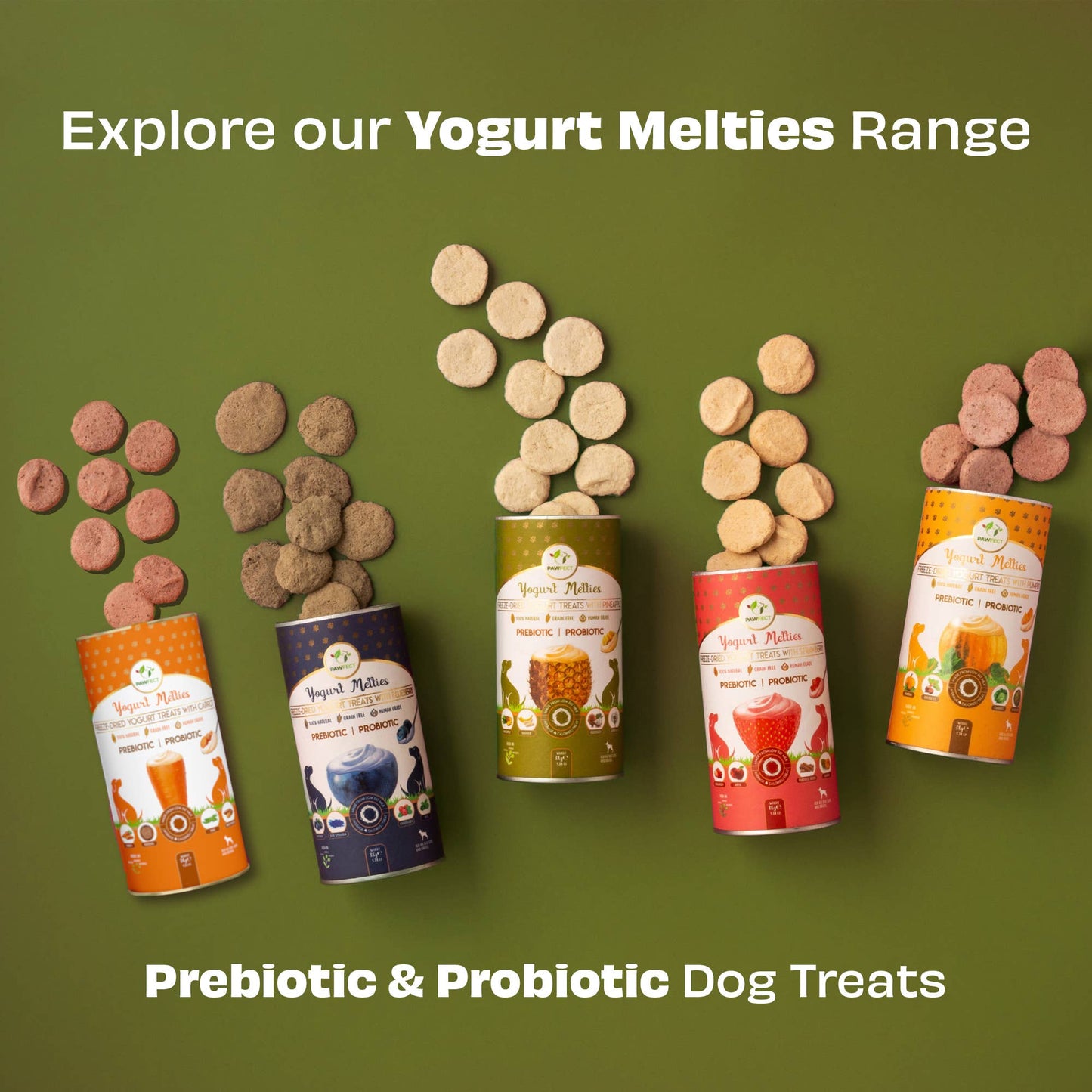 Pawfect Yogurt Melties Prebiotic and Probiotic Dog Treats: Pineapple & Yogurt (38g/1.34oz)