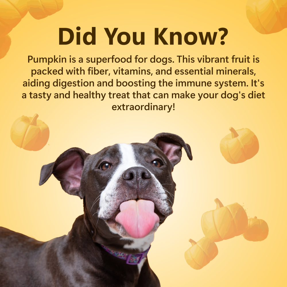 Pawfect Nature's Munch Freeze Dried Finest Pumpkin Treats