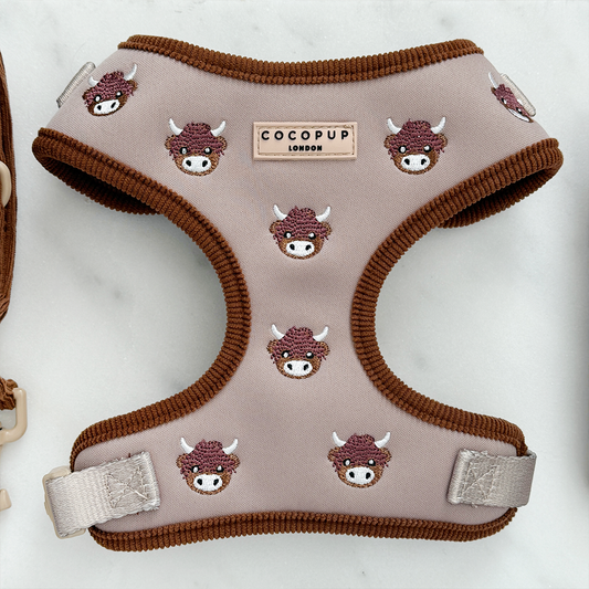 Harold the Highland Cow Adjustable Neck HARNESS: S