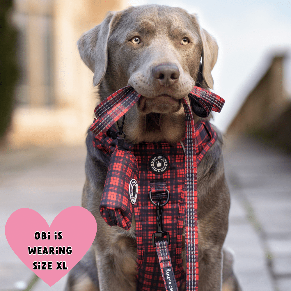 Trail & Glow® Dog Harness - The Red Tartan One: XL