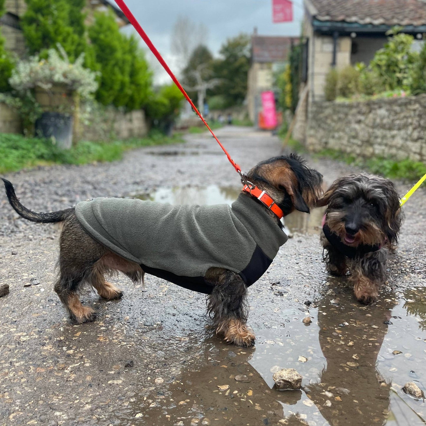 Standard Dachshund Fleece Jumper with Waterproof Belly Panel: Dusty Rose / Large