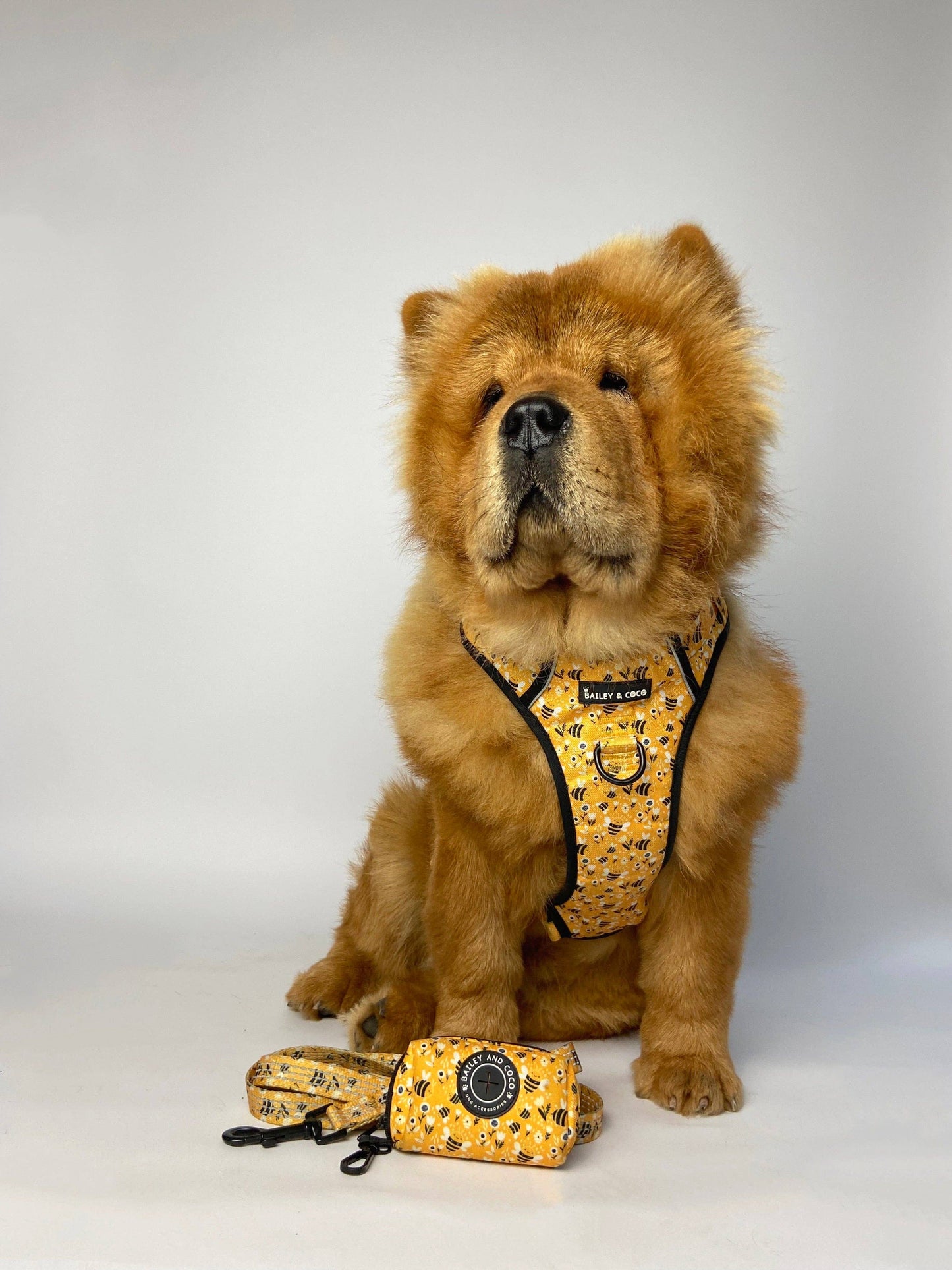 Trail & Glow® Dog Harness - Wanna-Bee: S