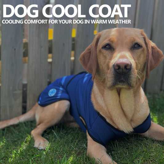 Cooling Dog Coat : Large 50cm