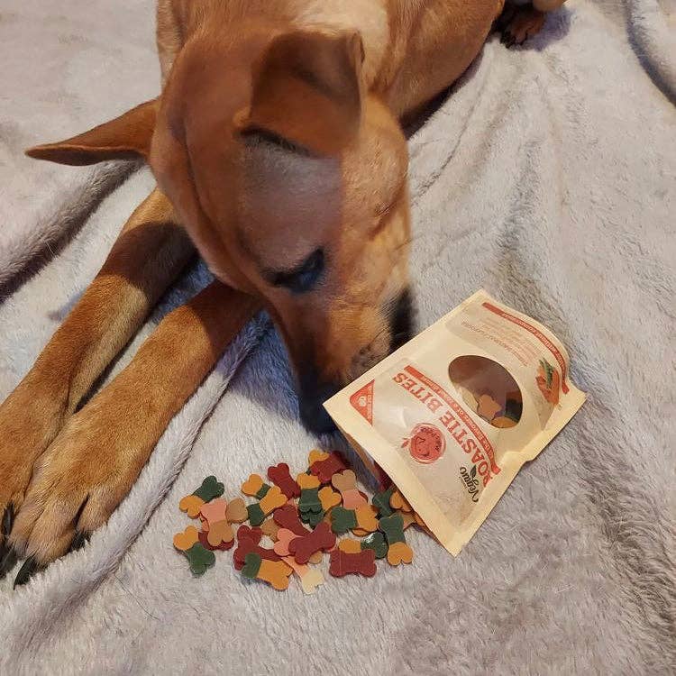 MaksPatch Training Dog Treats "Roastie Bites" -L