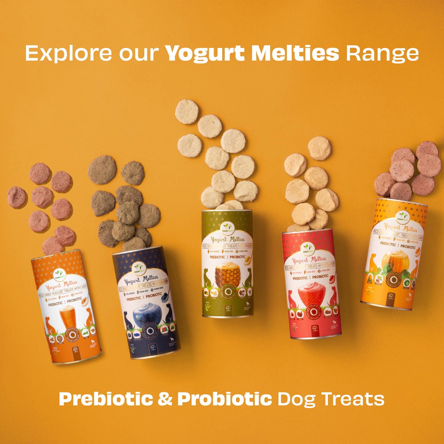 Pawfect Yogurt Melties Prebiotic and Probiotic Dog Treats: Pumpkin & Yogurt (38g/1.34oz)