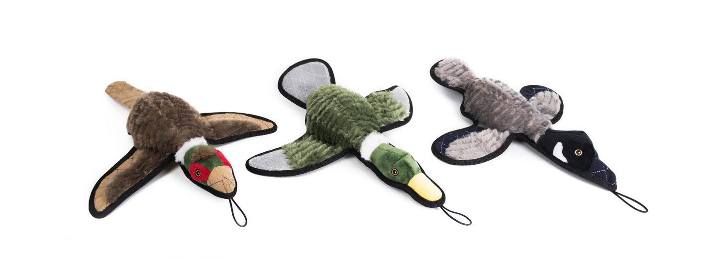 Ruffian Game Bird Duck