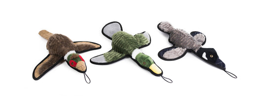 Ruffian Game Bird Duck