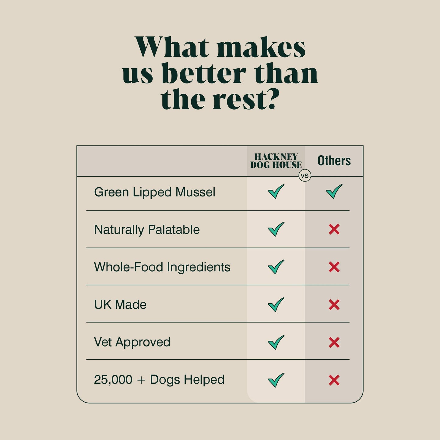 Green Lipped Mussel Powder for Dogs | 80 Servings.