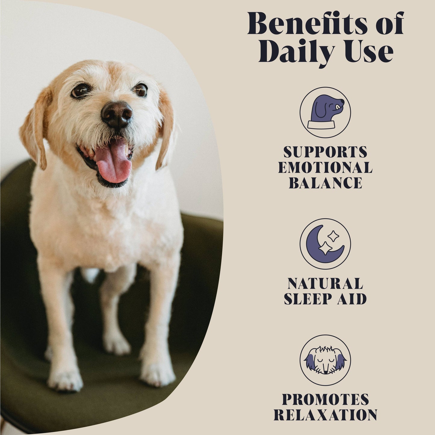 Calming Goats Milk Powder for Dogs | Makes Twelve Pints.