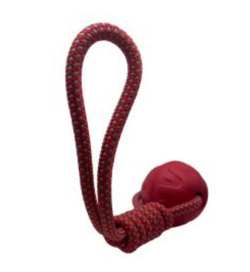 Best Pets Aqua Dog Ball & Rope Throw Toy Medium
