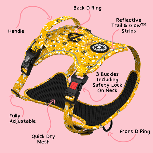 Trail & Glow® Dog Harness - Wanna-Bee: XS