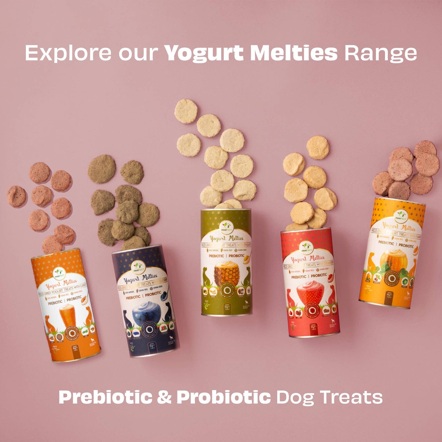 Pawfect Yogurt Melties Prebiotic and Probiotic Dog Treats: Strawberry & Yogurt (38g/1.34oz)