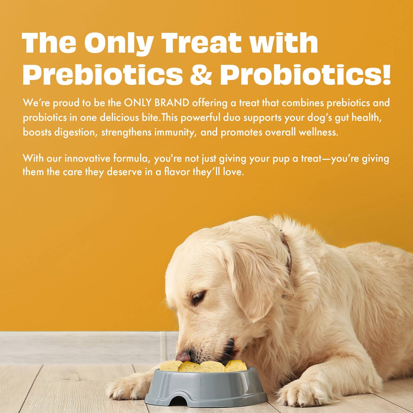Pawfect Yogurt Melties Prebiotic and Probiotic Dog Treats: Pumpkin & Yogurt (38g/1.34oz)