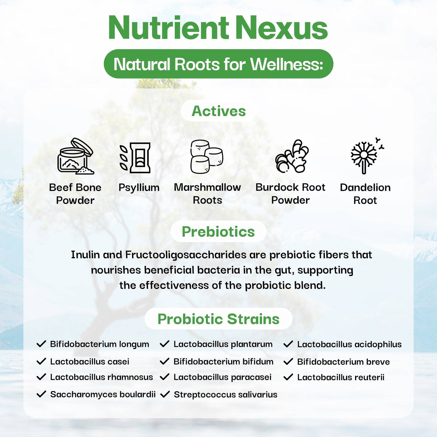 Immune Probiotic For Pets