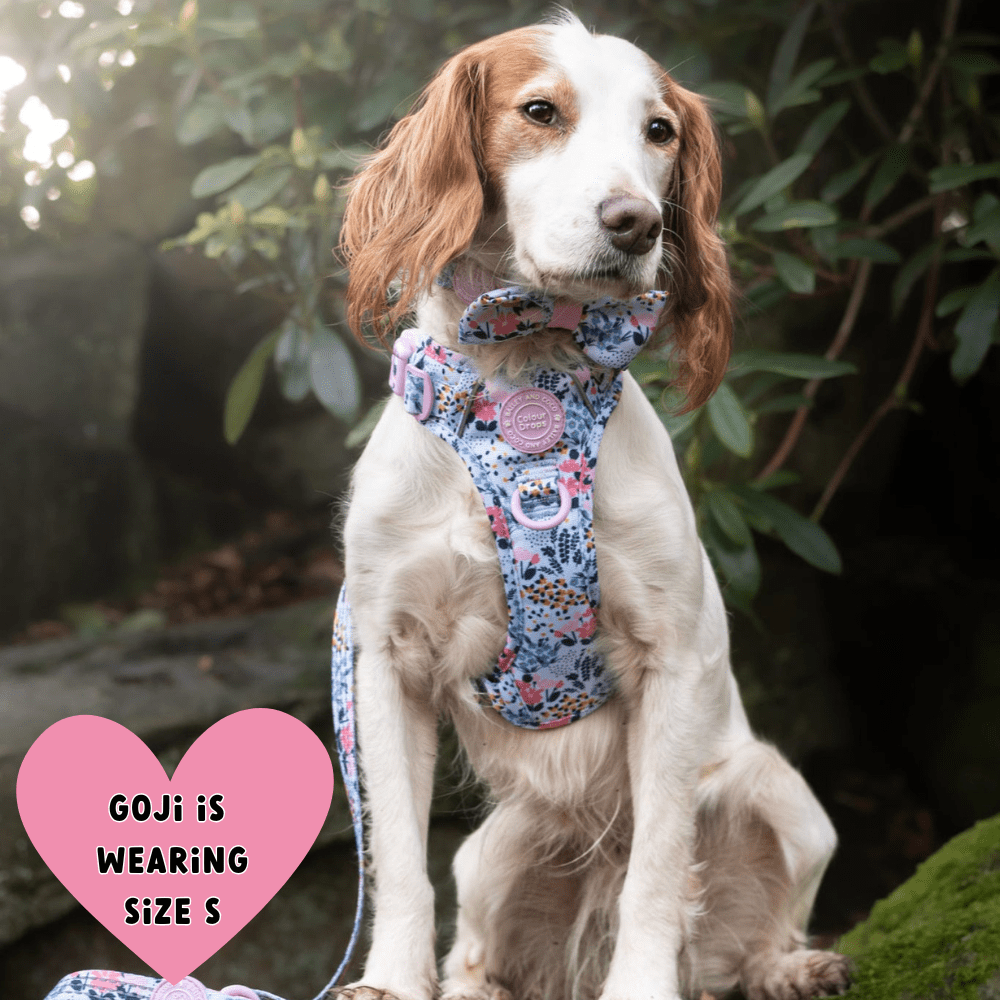 Floral Dog Harness - Colour Drops - Spring Dreams: XS