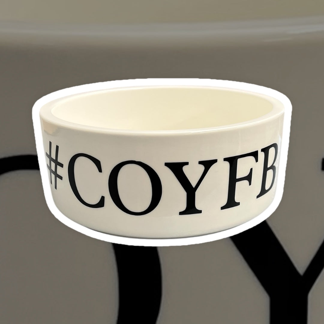 Falkirk FC Ceramic Dog Bowl