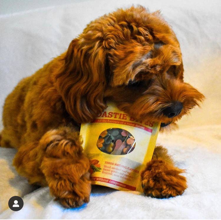 MaksPatch Training Dog Treats "Roastie Bites" -L
