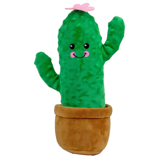 Play Time For Dogs - Cuddle Cactus