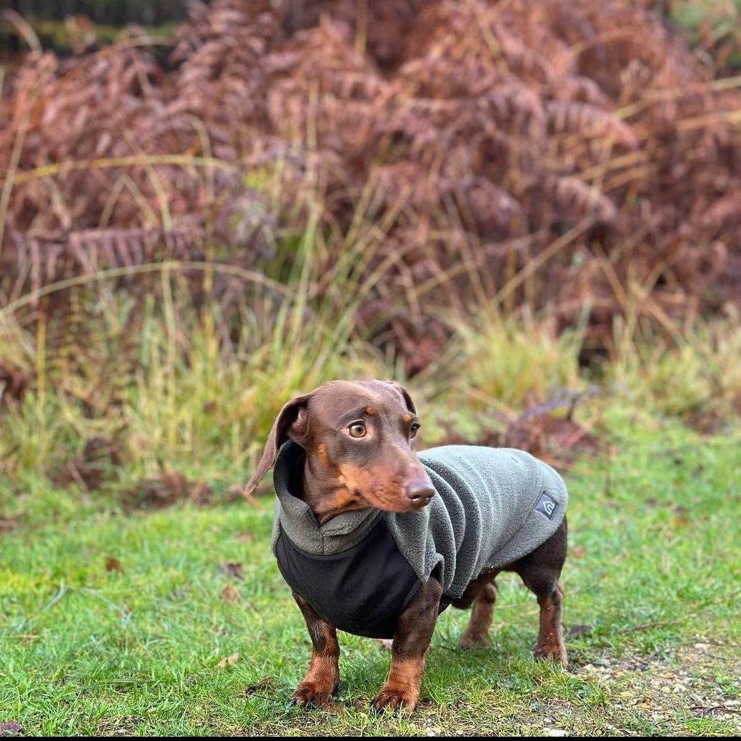 Dachshund Fleece Jumper with Waterproof Belly Panel: Charcoal / Large