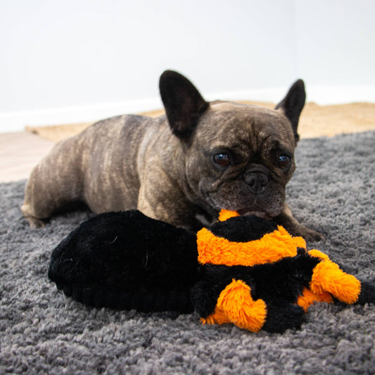 Ancol Play Time For Dogs - Cuddly Critters