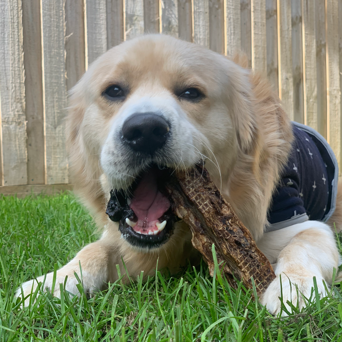 Get Off Ma' Tail - Kangaroo Tails: 2 Pack