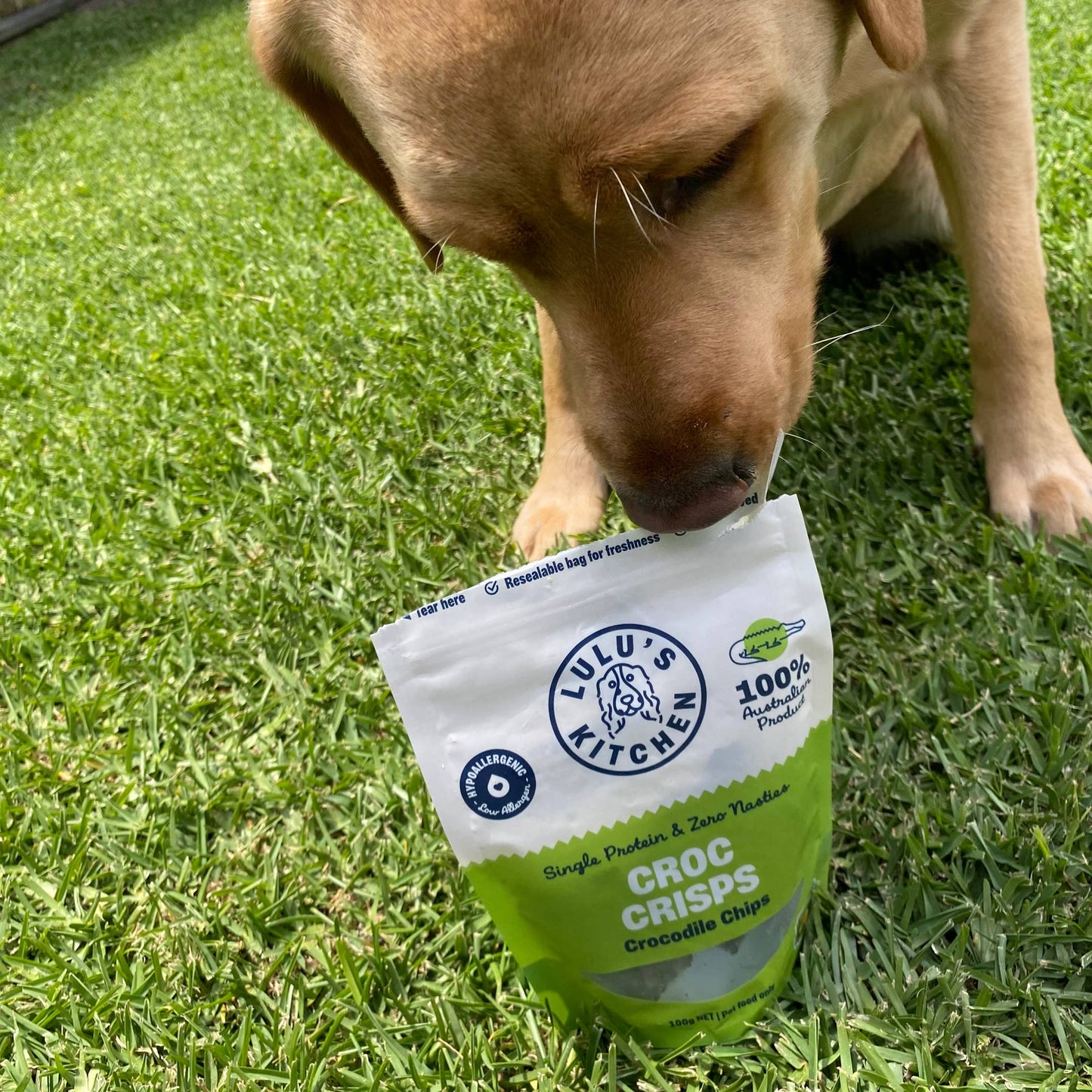 Croc Crisps - Crocodile Chips - New.