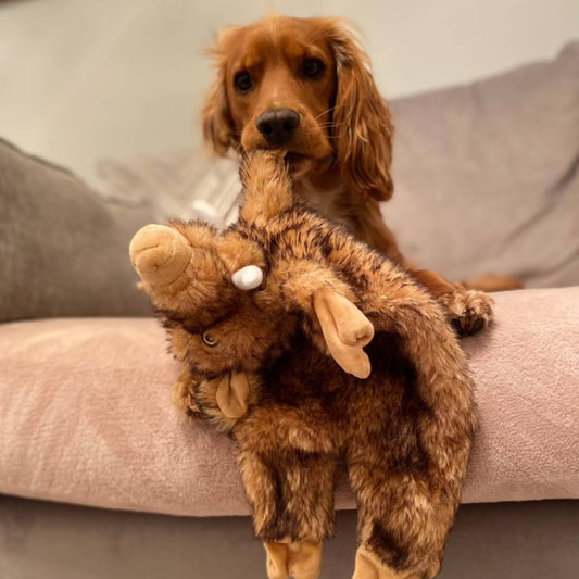 The Heritage Collection  Huge Hog Unstuffed Toy