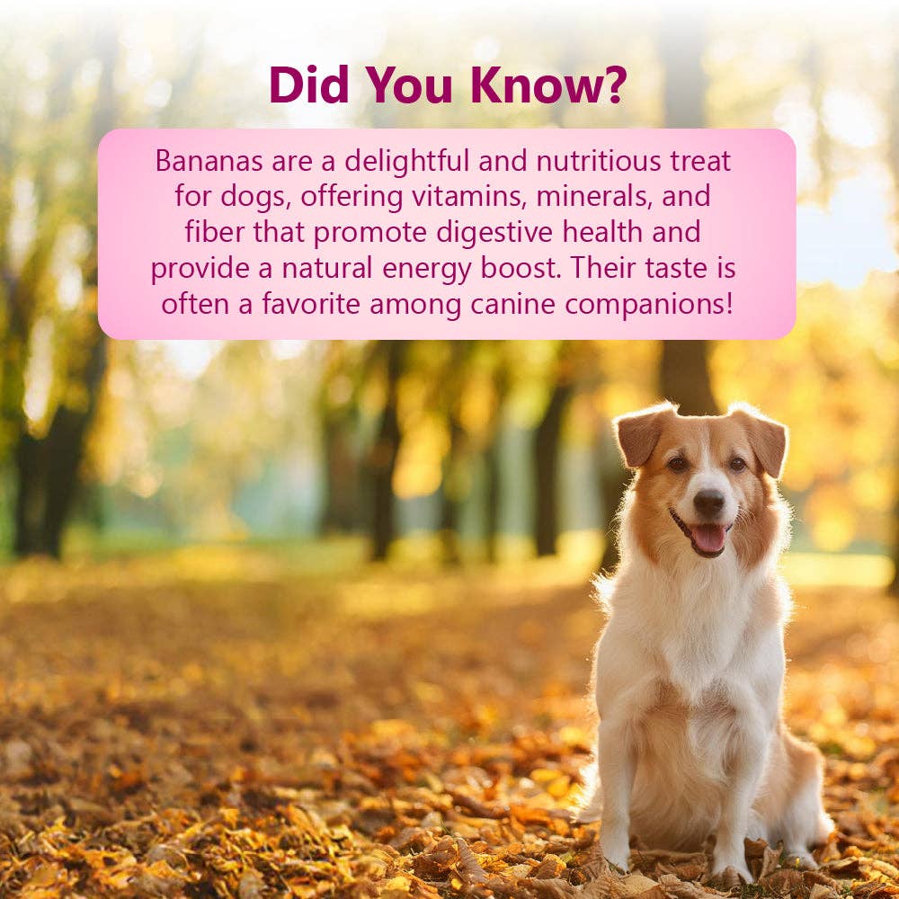 Pawfect Nature's Munch Functional Dog Treats: Calm and Relaxed (75g/2.65oz)