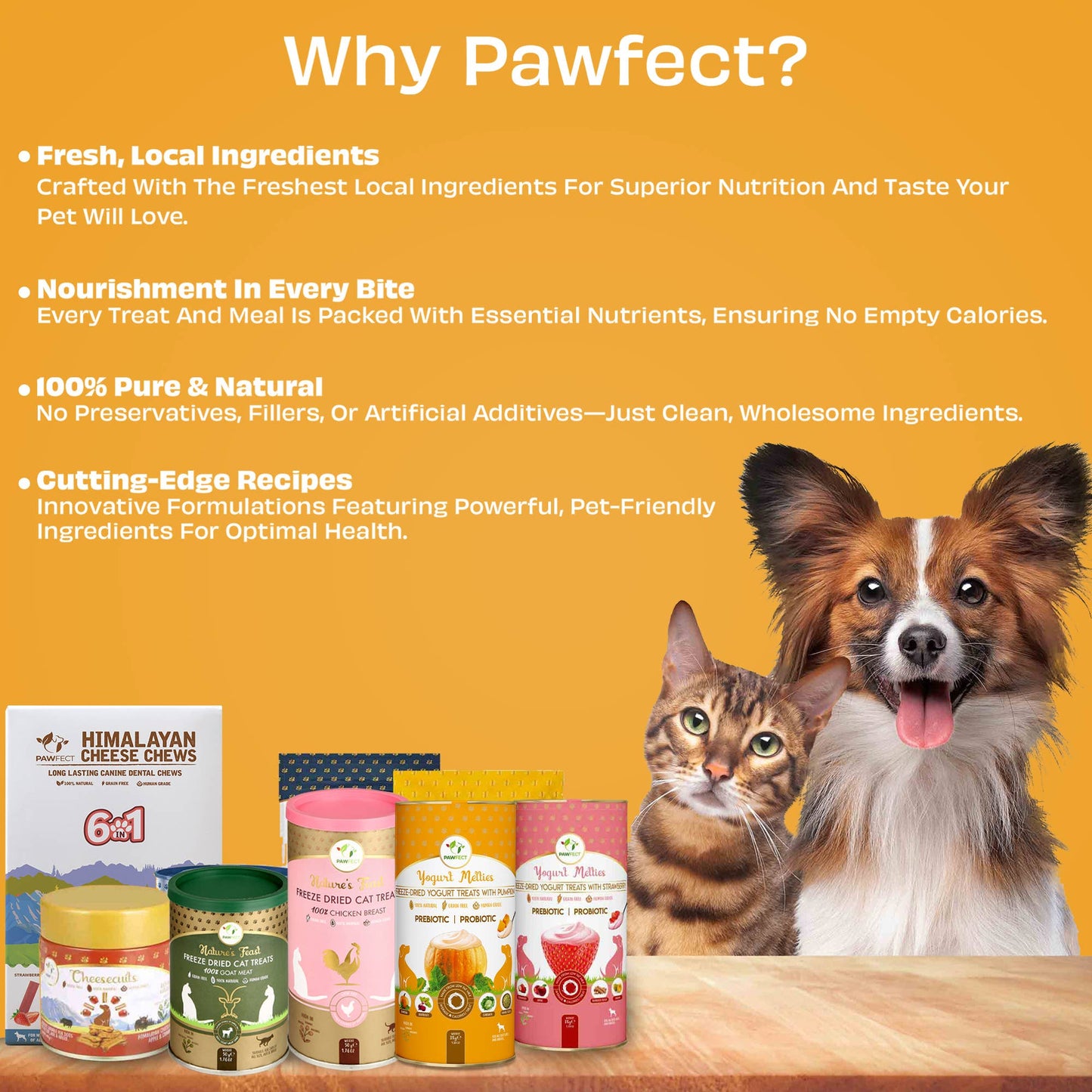 Pawfect Yogurt Melties Prebiotic and Probiotic Dog Treats: Pumpkin & Yogurt (38g/1.34oz)