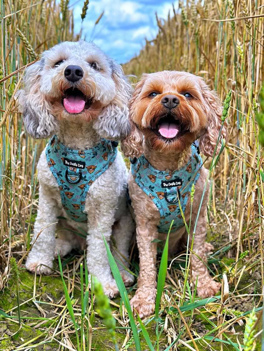 The Crafty Cow Harness - Mint Highland Cows Simple Summer