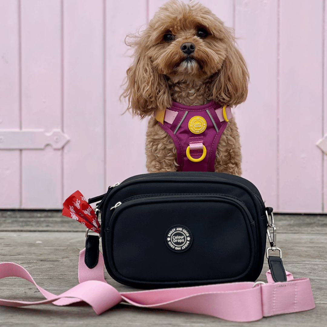 Dog Walking Bag - Black with We're Jammin' Strap & Pouch