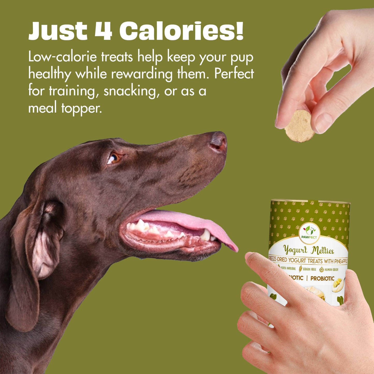 Pawfect Yogurt Melties Prebiotic and Probiotic Dog Treats: Pineapple & Yogurt (38g/1.34oz)